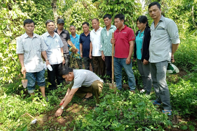 103 mô hình sản xuất nông nghiệp được hỗ trợ ứng dụng công nghệ cao