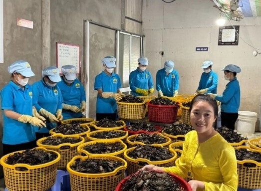 Ba khía Đầm Dơi: Thương hiệu từ tình yêu quê hương của vợ chồng chàng kỹ sư thủy sản