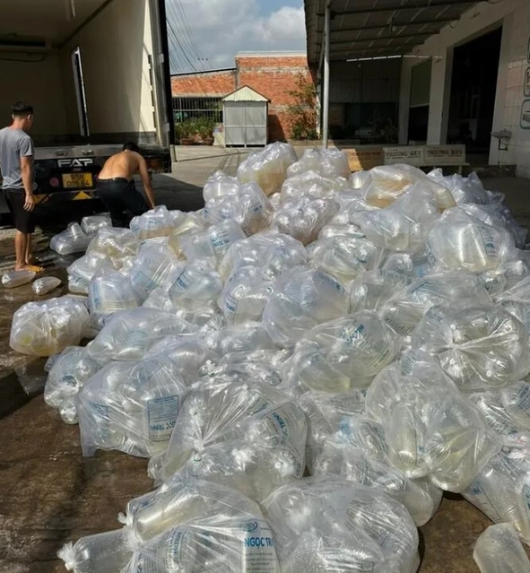 Bạc Liêu phát hiện gần 1,5 triệu con tôm giống không rõ nguồn gốc