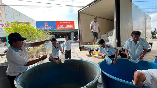 Bạc Liêu: Tiêu hủy hơn 2,1 triệu con giống thủy sản không có giấy kiểm dịch