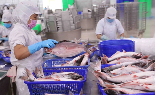 Bộ Tài chính trả lời 3 vấn đề phản ánh, kiến nghị của doanh nghiệp thủy sản