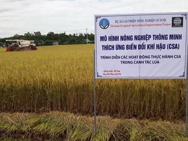 Các tỉnh, thành ở đồng bằng sông Cửu Long làm gì để thích ứng với biến đổi khí hậu?