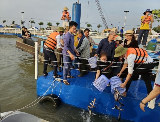 Cần Thơ: Phóng sinh 50 tấn cá tra ra sông Hậu