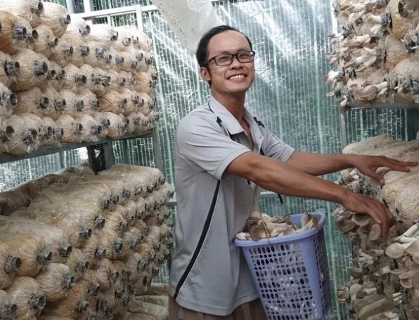 Cần tư duy thời đại để HTX phát triển xứng tầm