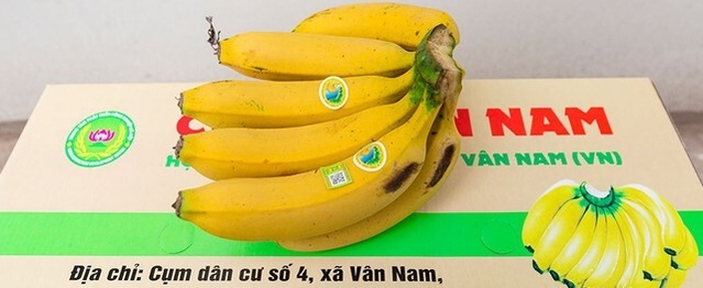 Chú trọng xây dựng sản phẩm nông sản đạt tiêu chuẩn OCOP