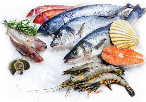 Chứng nhận VietGAP thủy sản