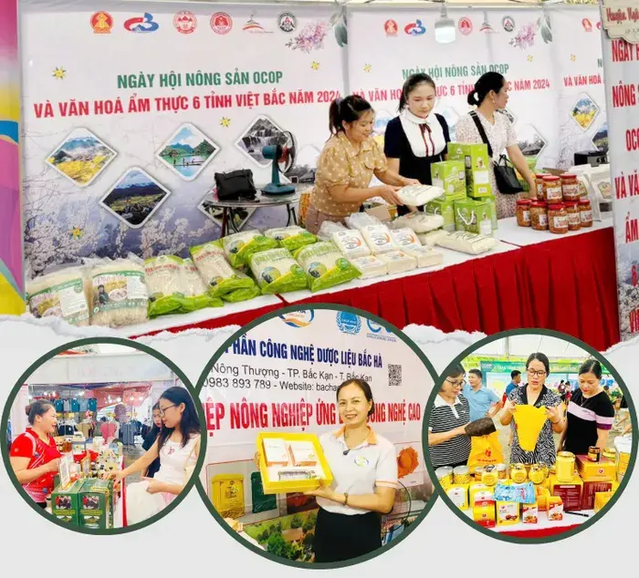 Để sản phẩm OCOP của Bắc Kạn vươn xa