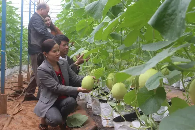 'Điểm tựa' của HTX nông nghiệp Đắk Nông