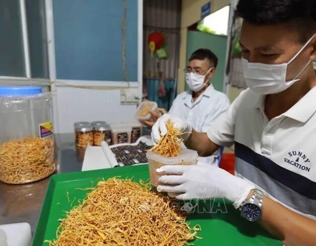 Linh hoạt trong quảng bá sản phẩm OCOP