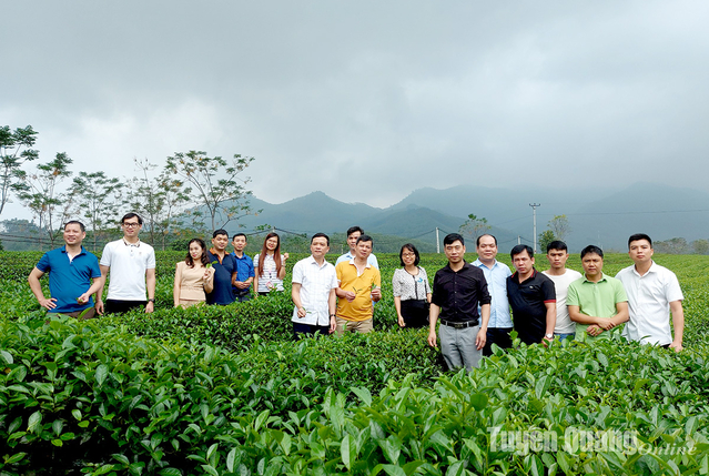 Quảng bá sản phẩm OCOP gắn với phát triển du lịch