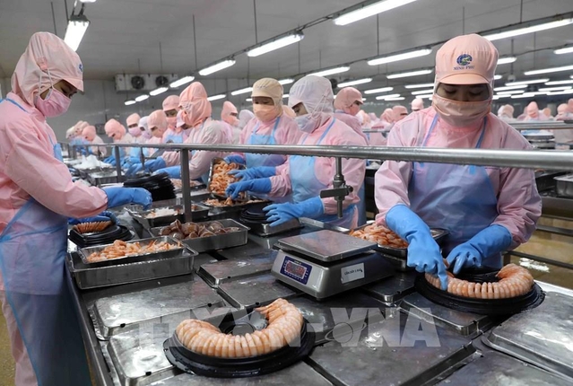 Thứ trưởng Phùng Đức Tiến: Xuất khẩu nông lâm thủy sản đang tăng trở lại