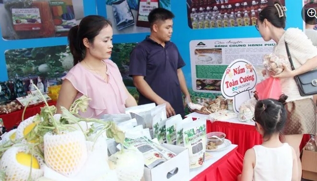 Ứng dụng thương mại điện tử: Nông sản rộng đầu ra